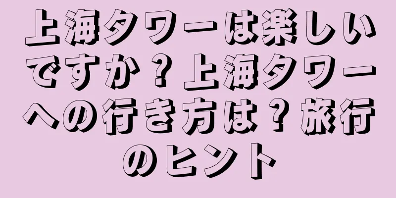 上海タワーは楽しいですか？上海タワーへの行き方は？旅行のヒント
