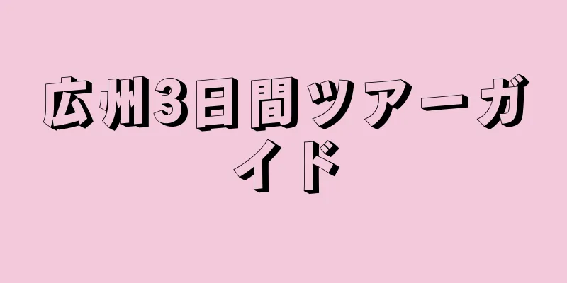 広州3日間ツアーガイド