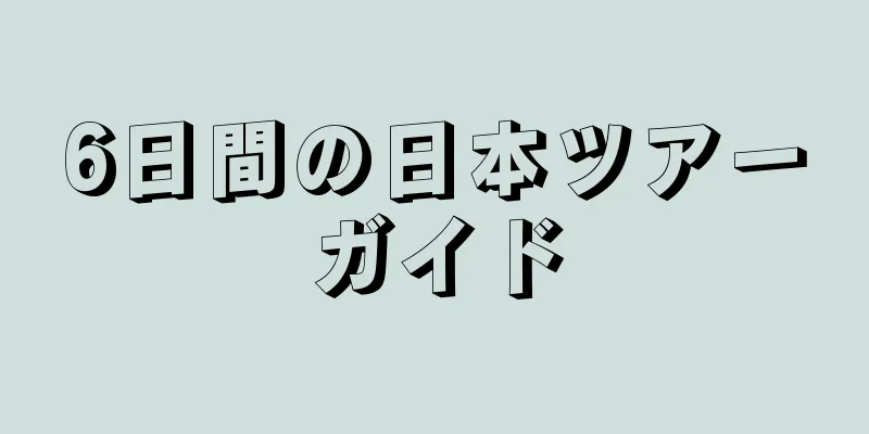 6日間の日本ツアーガイド