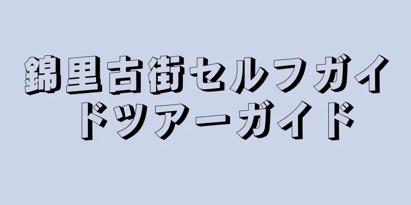 錦里古街セルフガイドツアーガイド