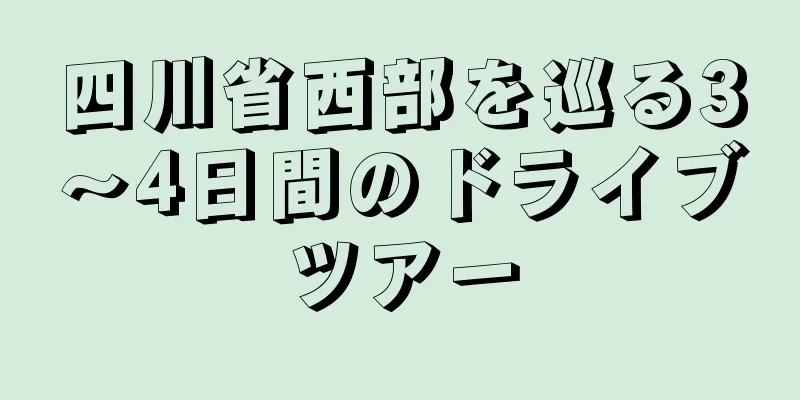四川省西部を巡る3～4日間のドライブツアー