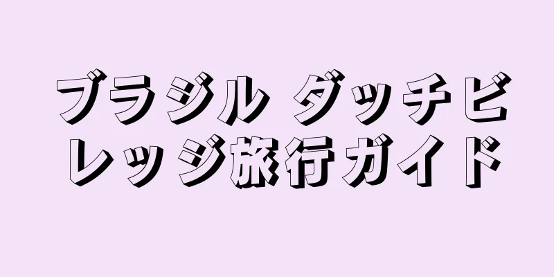ブラジル ダッチビレッジ旅行ガイド