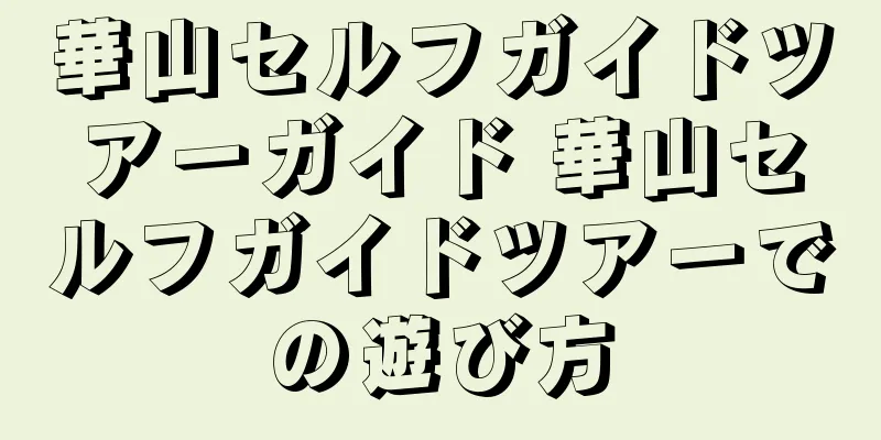 華山セルフガイドツアーガイド 華山セルフガイドツアーでの遊び方