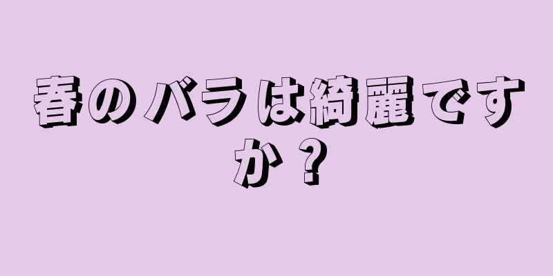 春のバラは綺麗ですか？